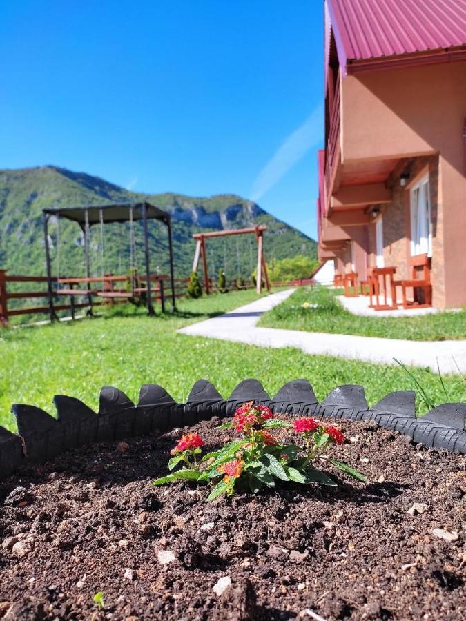 Guesthouse Madzarevic Plužine Kültér fotó