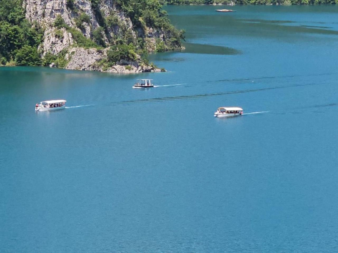 Guesthouse Madzarevic Plužine Kültér fotó
