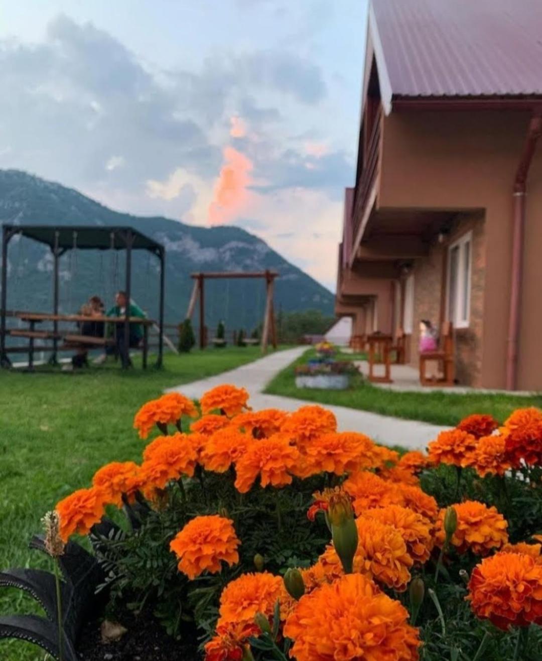 Guesthouse Madzarevic Plužine Kültér fotó