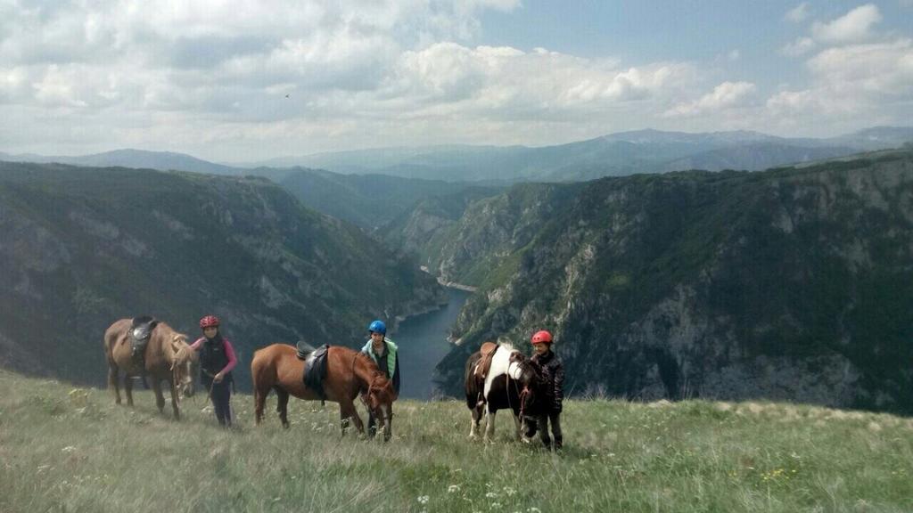 Guesthouse Madzarevic Plužine Kültér fotó